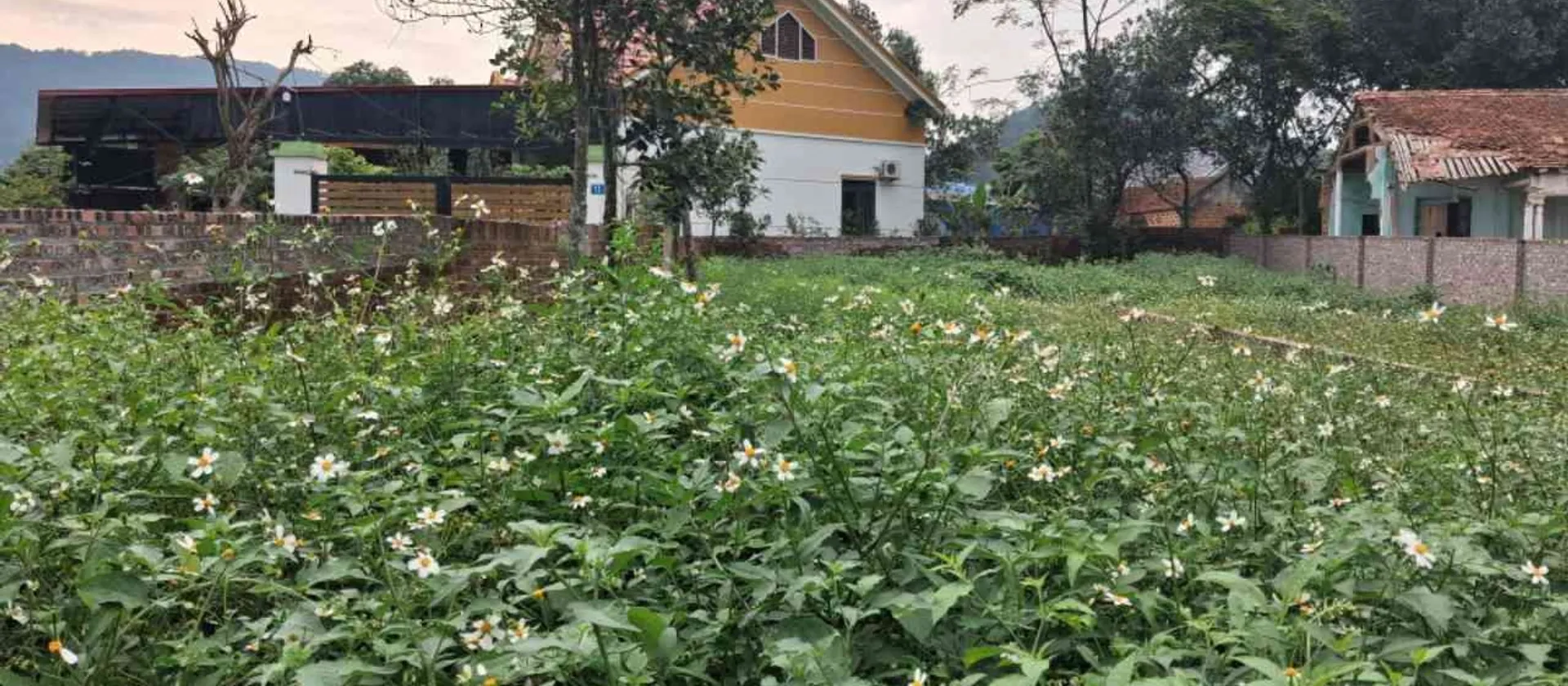Đất đẹp Thanh Hà, ô tô vào tận nơi, giá đầu tư siêu hấp dẫn... Bán đất tại Trung Giã, Hà Nội 01