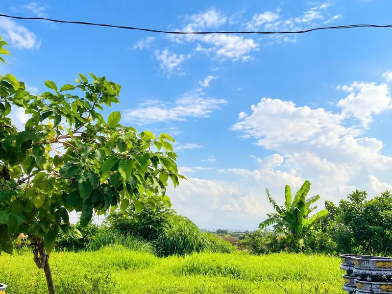 🔥 THIẾT TRỤ – MỄ SỞ | 85M² – MT 6M – NỞ HẬU – 4.X TỶ 🔥... Bán đất tại Văn Giang, Hưng Yên 01