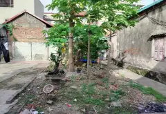 Bán đất lô góc tại khu phố thị tấp nập làng nghề Đồng Kỵ, Từ Sơn... Bán đất tại Từ Sơn, Bắc Ninh 02
