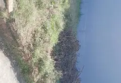 Bán đất 220m² mặt tiền 11m tại Xuân Giang, phù hợp đầu tư và xây nhà vườn... Bán đất tại Đa Phúc, Hà Nội 05