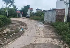 Đất mặt tiền rộng, vị trí đắc địa Bắc Sơn đón đầu cơ hội... Bán đất tại Trung Giã, Hà Nội 01