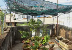 HỒ VĂN LONG HẺM XE HƠI XÂY DỰNG THẢNH 2 CĂN TRÊN DT 5,9 × 13M CHO THUÊ 9TR/ THÁNG- GIÁ BÁN 4,4 TỶ T... Bán owner_side tại Bình Tân, Hồ Chí Minh 07