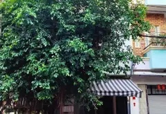 Bán nhà mặt phố 4 tầng 3 ngủ Phường An Lạc, Hồ Chí Minh... Bán nhà mặt phố tại An Lạc, Hồ Chí Minh 02