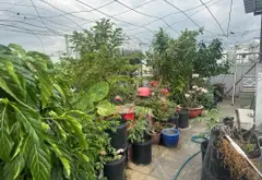 Cơ hội sở hữu nhà 4 tầng kiên cố hẻm xe hơi Trường Chinh giá tốt... Bán owner_side tại Tân Bình, Hồ Chí Minh 08