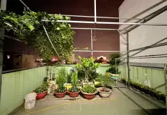 Bán nhà riêng 4 tầng mặt tiền 5m tại Phường Trung Mỹ Tây, TP.HCM, ô tô trong nhà... Bán nhà riêng tại Trung Mỹ Tây, Hồ Chí Minh 09