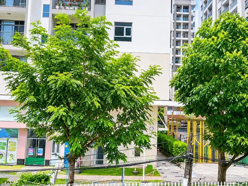 Q7 - Nguyễn Thị Thập - 9 Tỷ 090 - Nhà 2 Tầng 125m² - Ngang 5m - 4PN... Bán nhà riêng tại Tân Thuận, Hồ Chí Minh 01