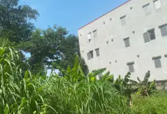 Cơ hội sở hữu đất mặt tiền rộng 20m tại Sơn Đông, giá hấp dẫn chỉ hơn 8 tỷ... Bán đất tại Nam Sơn, Bắc Ninh 02