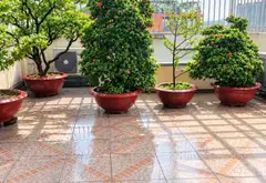 Nhà phố Phước Long 4 tầng, rộng 118m², giá ưu đãi... Bán nhà mặt phố tại Phước Long, Hồ Chí Minh 07