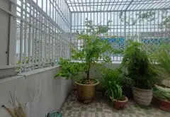- 1 nửa nhà tầng trệt trống để xe hơi 7 chỗ, 1 phòng bếp, 1 phòng khách, 1 phòng thờ, 5 phòng ngủ,... Bán nhà mặt phố tại An Lạc, Hồ Chí Minh 15