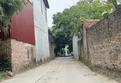 Cơ hội hiếm có sở hữu đất phân lô đường ô tô tránh Minh Phú... Bán đất tại Kim Anh, Hà Nội 06