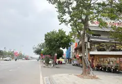 🌺8 TẦNG KINH DOANH-ĐÓN TRỌN VIEW VÕ VĂN KIỆT-TIỆN ÍCH HƯỞNG CHỌN-QL5 CHỈ 200M🌺
 Kim Chung... Bán nhà mặt phố tại Thiên Lộc, Hà Nội 01