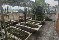 Bán nhà 8 tầng mặt phố phường Tân Bình, diện tích rộng 229.3m2... Bán nhà mặt phố tại Tân Bình, Hồ Chí Minh 14