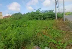 Bán đất tại xã Bình Lợi,trần văn giàu mặt tiền rộng 10m dài 20m , pháp lý rõ ràng... Bán đất tại Bình Lợi, Hồ Chí Minh 04