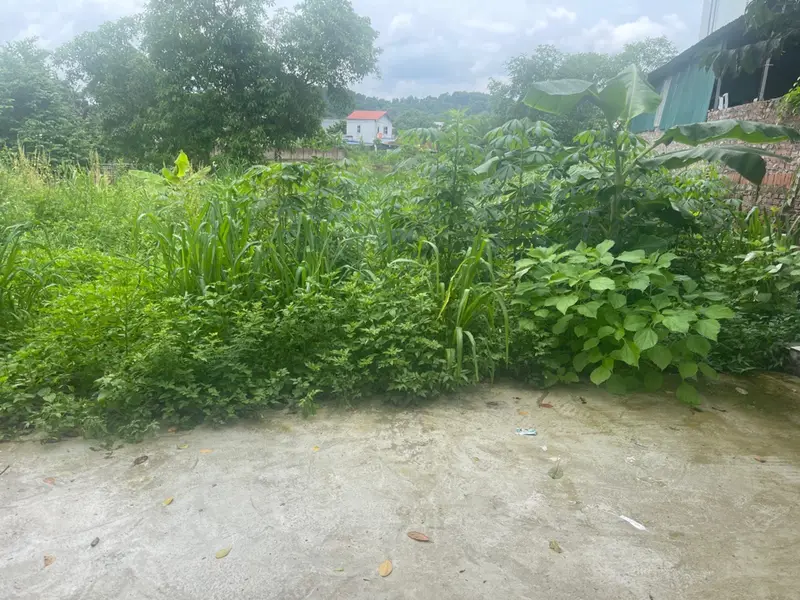 Đất nền siêu HOT tại Phù Linh – Lô góc mặt tiền rộng, ô tô tránh... Bán đất tại Sóc Sơn, Hà Nội 01