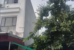 Lô đất vị trí đắc địa khu A BSC Thủy Nguyên, Hải Phòng đáng sở hữu... Bán đất tại Thủy Nguyên, Hải Phòng 03