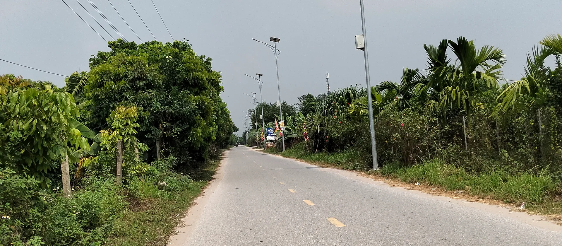 Bán đất xã Triệu Việt Vương, Hưng Yên, diện tích 52m², sổ đỏ chính chủ... Bán đất tại Triệu Việt Vương, Hưng Yên 01