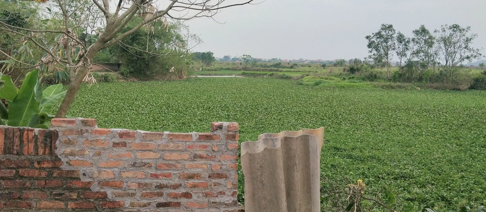 Bán đất Sơn Đoài Tân Minh - Đầu tư hấp dẫn, vị trí và pháp lý rõ ràng... Bán đất tại Sóc Sơn, Hà Nội 01