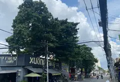 Bán nhà mặt phố 2 tầng tại quận Bình Tân, diện tích 85m², giá ưu đãi... Bán nhà mặt phố tại Bình Trị Đông, Hồ Chí Minh 03