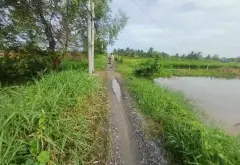 BÁN 1 CÔNG ĐẤT TRỒNG LÚA NƯỚC CÒN LẠI LUK - TRƯƠNG VĂN ĐA - ĐƯỜNG ĐÁ XANH XE BA GÁC TỚI ĐẤT... Bán đất tại Bình Lợi, Hồ Chí Minh 10