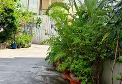Nhà đẹp 3 tầng trung tâm Quận 5, giảm giá sốc... Bán nhà riêng tại An Đông, Hồ Chí Minh 01