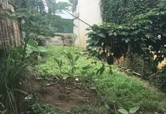 CHÍNH CHỦ BÁN 87,9M² ĐẤT CÔNG LUẬN - MT 4,7M - SÁT PVF & DỰ ÁN ALUMIA... Bán đất tại Văn Giang, Hưng Yên 06