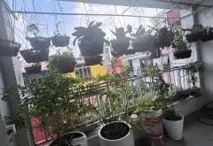 💥NHÀ KHU TRUNG TÂM HOÀN KIẾM-GẦN PHỐ-VÀI BƯỚC RA HỒ GƯƠM-NGÕ RỘNG THOÁNG🔥🔥... Bán nhà riêng tại Cửa Nam, Hà Nội 05