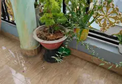 Nhà riêng 5 tầng hướng Đông, diện tích 68m2 tại Nguyễn Ảnh Thủ, Q12, giá 6.9 tỷ... Bán nhà riêng tại Trung Mỹ Tây, Hồ Chí Minh 17