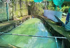 Cơ hội sở hữu nhà vườn rộng 615m² tại xã Củ Chi, không gian riêng tư hiếm có... Bán đất tại Củ Chi, Hồ Chí Minh 03