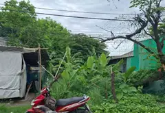 Bán đất mặt tiền rộng 11.2m tại xã Tây An Hội, huyện Củ Chi, diện tích 457m²... Bán đất tại Tân An Hội, Hồ Chí Minh 01