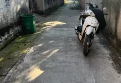 Bán đất mặt tiền 5m tại phường Song Liễu, Bắc Ninh, vị trí ô tô vào đất... Bán đất tại Song Liễu, Bắc Ninh 05