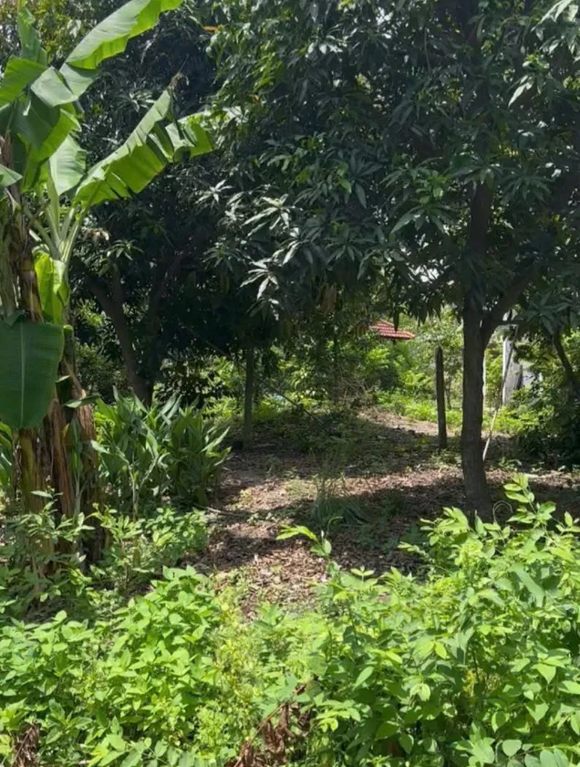 Nhà mặt phố Nguyễn Ảnh Thủ, diện tích lớn 2200m, tại Hóc Môn... Bán nhà mặt phố tại Đông Thạnh, Hồ Chí Minh 01