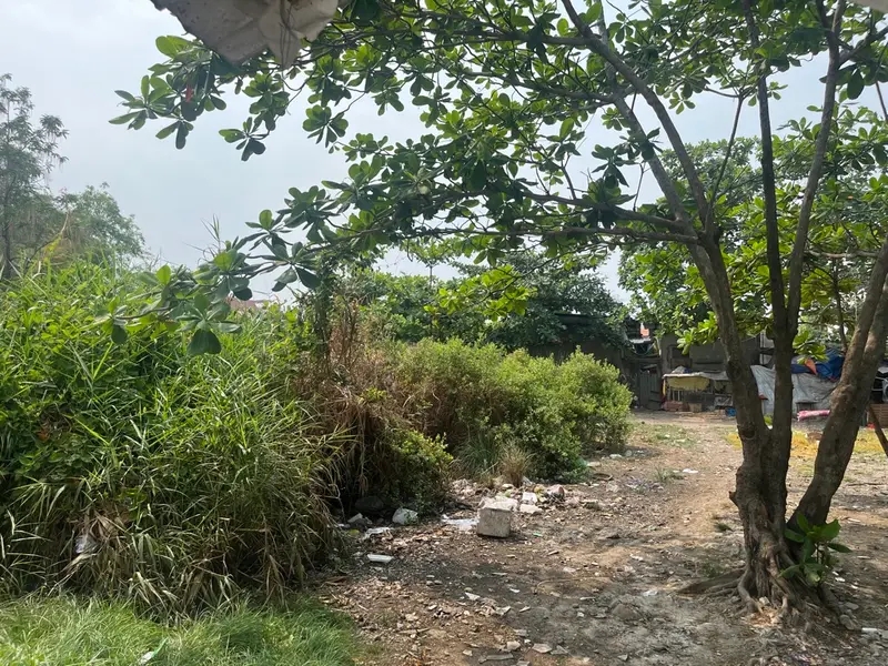 MẢNH ĐẤT LỚN TỔNG CỘNG CÓ SỔ HỒNG TỔNG 969m2 Đất thổ cư Đất 2 mặt tiền tiện phân lô tách thử, xây... Bán partner tại Nhà Bè, Hồ Chí Minh 01