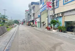 🌺VINCOLOA - TRỤC CHÍNH KINH DOANH - SẴN NHÀ CẤP 4 ĐANG CHO THUÊ DÒNG TIỀN ĐỀU ĐẶN -VINCOLOA 100M... Bán đất tại Đông Anh, Hà Nội 01