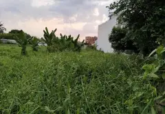 Biệt Thự Đất Lớn Riêng Tư Tại Phường An Phú Đông, TP HCM... Bán nhà riêng tại An Phú Đông, Hồ Chí Minh 09