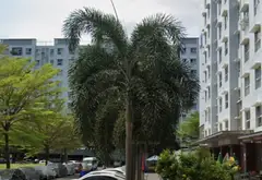 Shophouse mặt tiền chung cư Ehome3 Khu dân cư Nam Long, đường Hồ Ngọc Lãm sát Võ Văn Kiệt, An Lạc -... Bán Shophouse tại An Lạc, Hồ Chí Minh 01