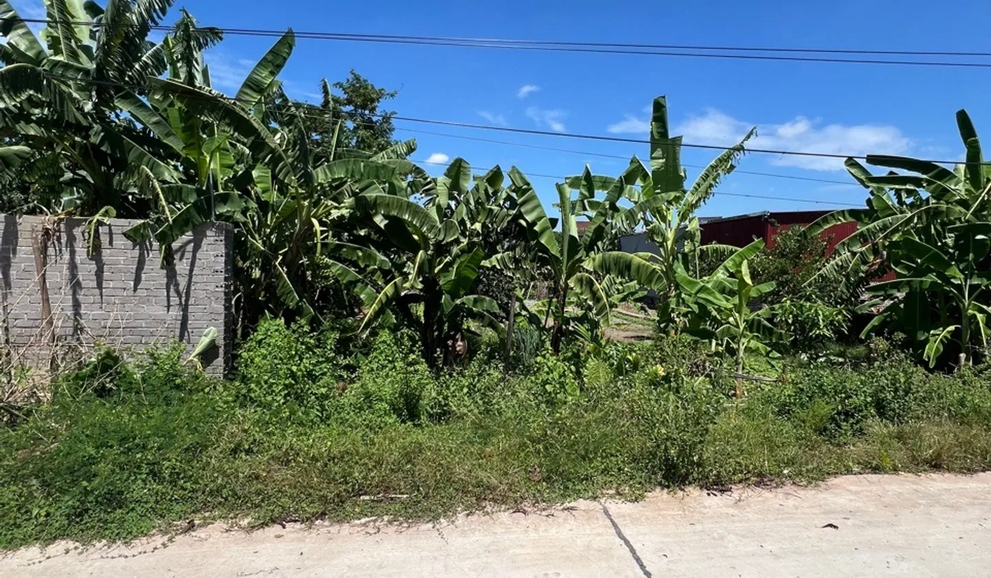 Bán đất rộng 156m2 tại Yên Dũng, Bắc Ninh giá 2.5 tỷ... Bán đất tại Yên Dũng, Bắc Ninh 01