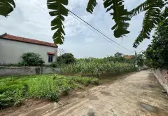 Đất đẹp giá êm tại Hạnh Lâm Mai Động Kim Động nay là Đức Hợp Hưng Yên... Bán đất tại Đức Hợp, Hưng Yên 02