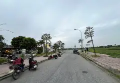 Đâú giá Đình tổ... Bán đất tại Thuận Thành, Bắc Ninh 01
