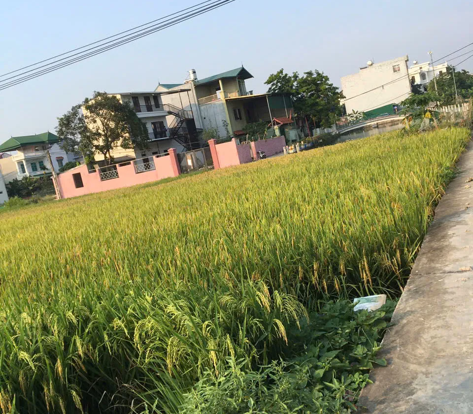 Lô đất vuông vắn, mặt tiền rộng tại khu dân trí cao Nguyễn Văn Huy... Bán đất tại Tam Sơn, Bắc Ninh 01
