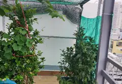 Bán nhà 5 tầng lô góc mặt tiền rộng tại phường 3, quận Gò Vấp... Bán nhà riêng tại Hạnh Thông, Hồ Chí Minh 05