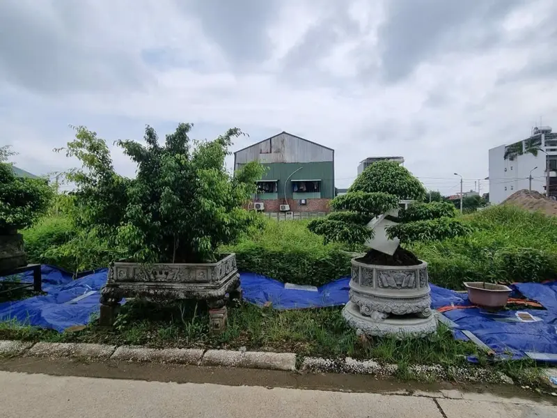 BDS căn nhà MẶT HỒ - trung tâm BỒ ĐỀ - 9.x TỶ ( có thương lượng) - VỈA HÈ RỘNG - KINH DOANH
35m2 x... Bán đất tại Thạch Thất, Hà Nội 01