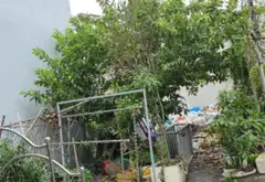Cơ hội hiếm có sở hữu đất nở hậu, vị trí đẹp ngay Lã Xuân Oai, Quận 9... Bán đất tại Tăng Nhơn Phú, Hồ Chí Minh 03