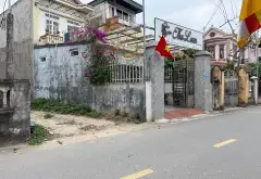 Đất vàng ô tô tránh, kinh doanh đỉnh, gần trung tâm... Bán đất tại Sóc Sơn, Hà Nội 02