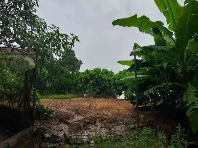 DIỆN TÍCH VỪA PHẢI - KHU DÂN CƯ ĐÔNG ĐÚC GẦN TRƯỜNG HỌC CÁC CẤP , CHỢ - LÔ GÓC FULL THỔ CƯ - PHÙ... Bán đất tại Văn Giang, Hưng Yên 01