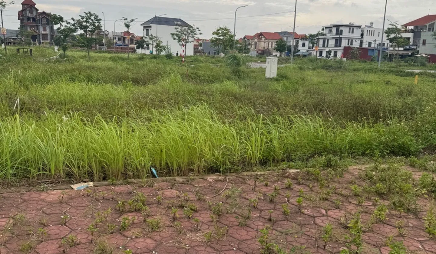 Đất nền TĐC Khu B Bắc Sông Cấm, cơ hội đầu tư sinh lời tại Hải Phòng... Bán đất tại Thủy Nguyên, Hải Phòng 01