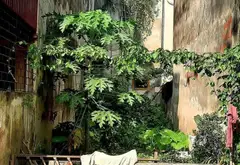 Bán đất mặt đường tại trung tâm TT Công An Đa Sỹ, Kiến Hưng Hà Đông 68/70m2, Vỉa Hè Ôto Kinh Doanh... Bán đất tại Kiến Hưng, Hà Nội 03