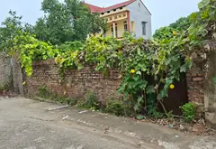 Cơ hội sở hữu đất vàng Xuân Long với nhà cho thuê tại vị trí đắc địa... Bán đất tại Kim Anh, Hà Nội 03