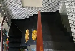 Bán nhà mặt phố 4 tầng, 7 phòng ngủ, kinh doanh sầm uất tại Tân Phú... Bán nhà mặt phố tại Tân Phú, Hồ Chí Minh 05