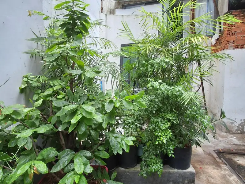 Bán nhà 4 tầng 38.7m2 tại phường 11 quận 10, giá 8.5 tỷ... Bán nhà riêng tại Hòa Hưng, Hồ Chí Minh 01