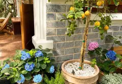 Biệt thự lô góc 3 mặt thoáng - Đẳng cấp kinh doanh và an cư tại trung tâm Cầu Giấy... Bán biệt thự, liền kề tại Cầu Giấy, Hà Nội 13